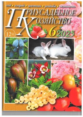 Приусадебное хозяйство