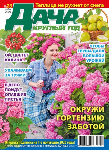 Дачакруглыйгод