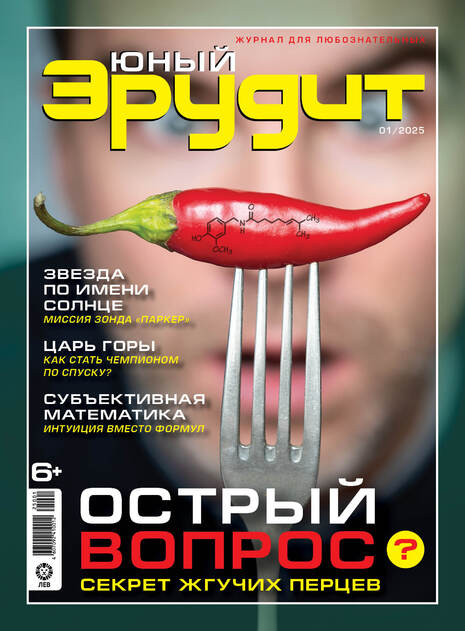 Юный эрудит