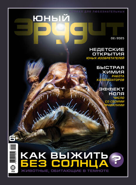Юный эрудит