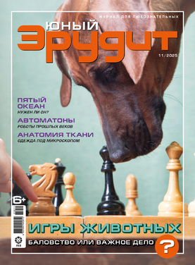 Юный эрудит