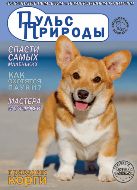 Пульс природы