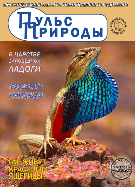 Пульс природы