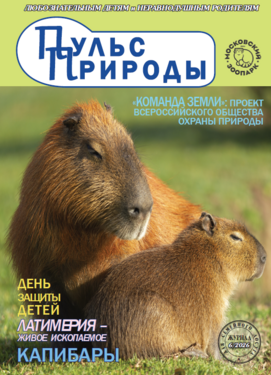 Пульс природы
