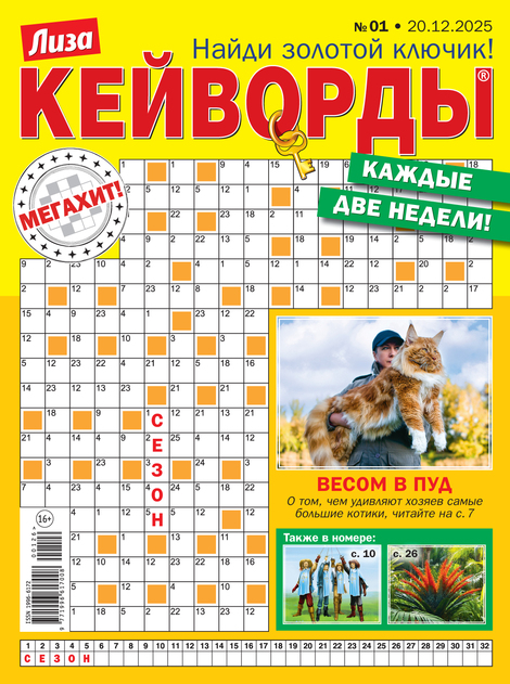 Лиза. Кейворды