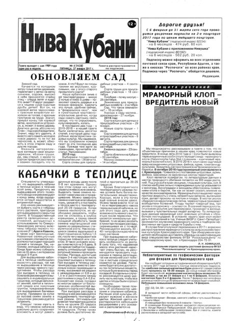 Нива Кубани