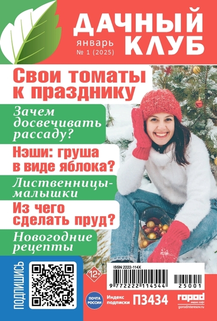 Дачный клуб