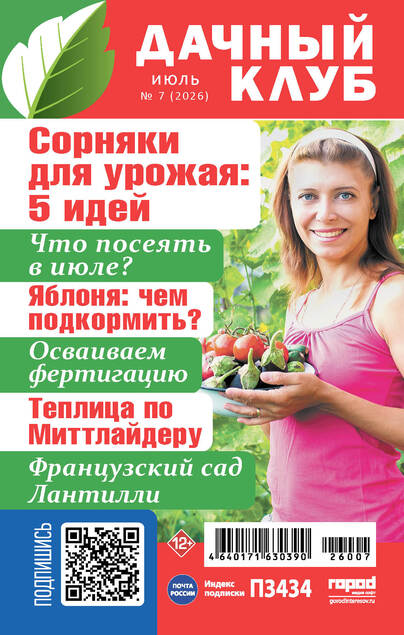 Дачный клуб