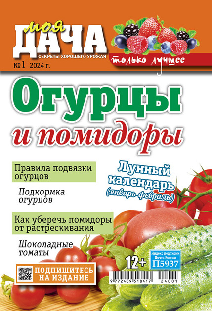 Загородный клуб Моя дача, база, дом отдыха, Лесная ул., 4, д. Васильево — Яндекс Карты