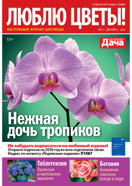 Люблю цветы!