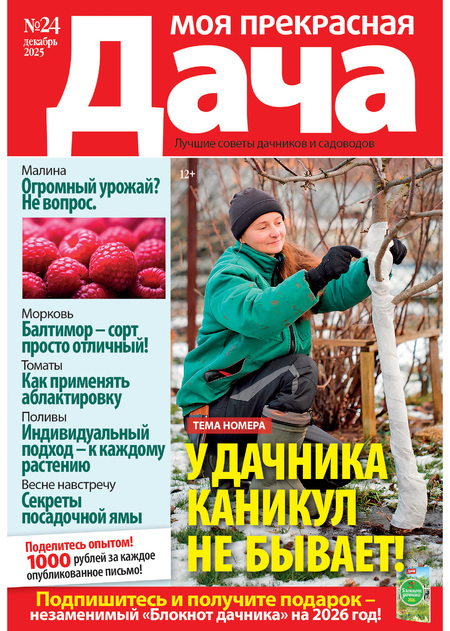 Моя прекрасная дача