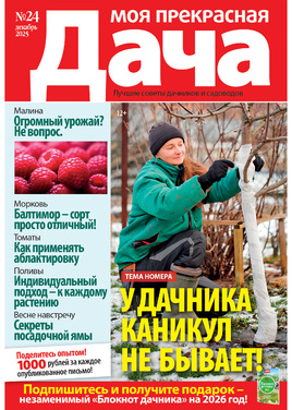 Моя прекрасная дача