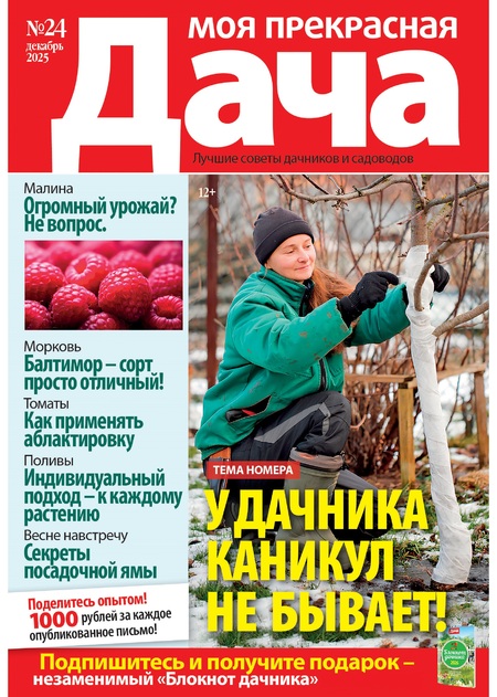 Моя прекрасная дача