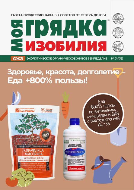 Моя грядка изобилия