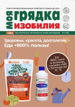 Моя грядка изобилия