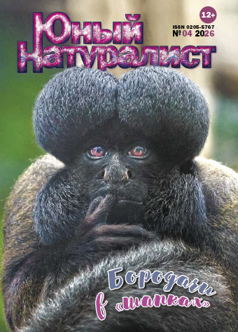 Юный натуралист