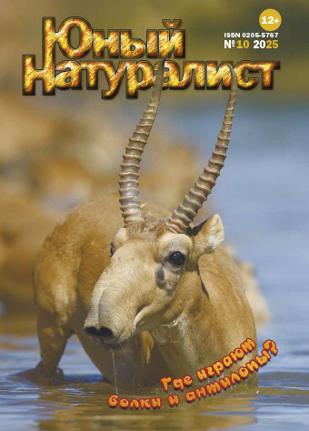 Юный натуралист