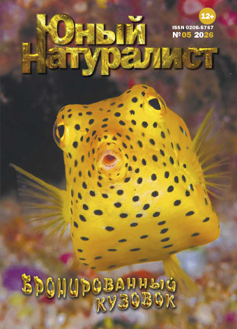 Юный натуралист