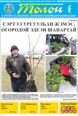 Толон