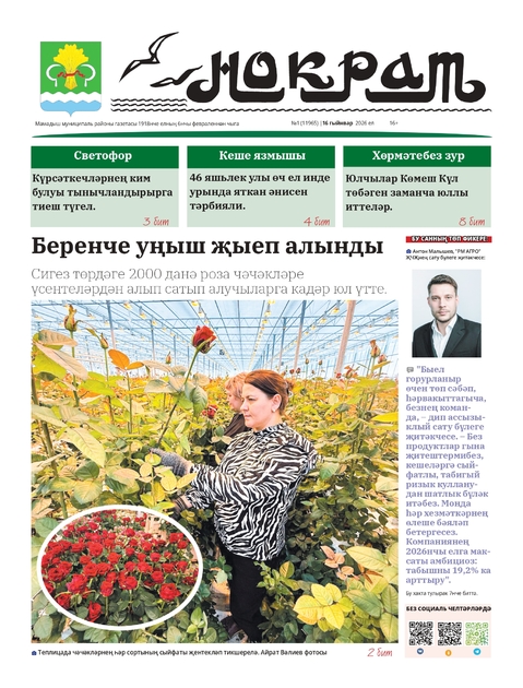 Нократ (Вятка)