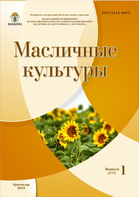 Масличные культуры