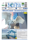 Волна