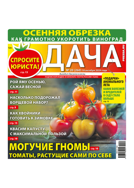 ДАЧА PRESSA.RU