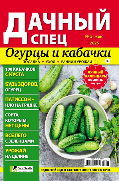 Дачный спец
