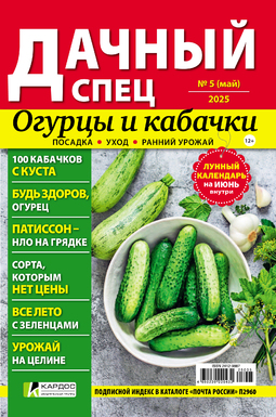 Дачный спец