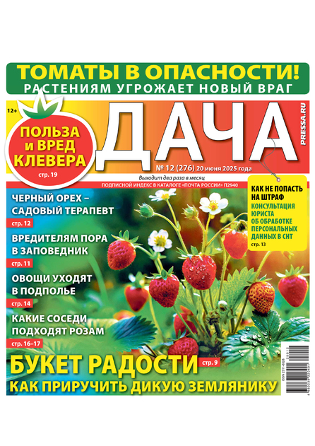 ДАЧА PRESSA.RU