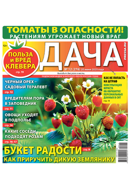 ДАЧА PRESSA.RU