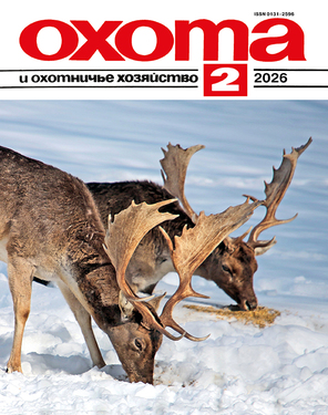 Охота и охотничье хозяйство