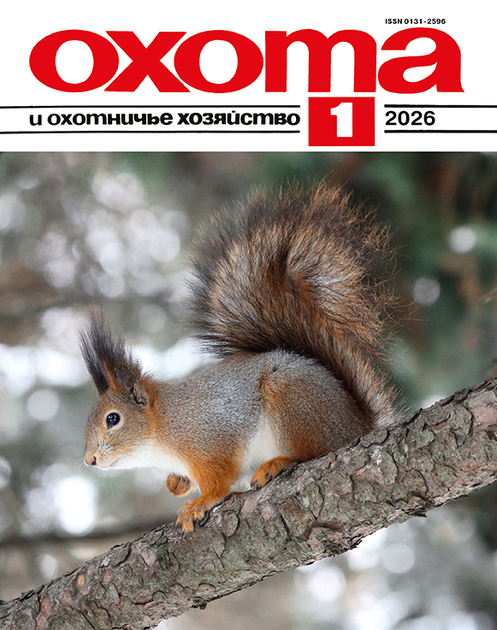 Охота и охотничье хозяйство