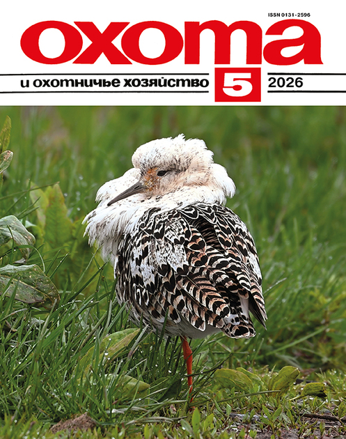 Охота и охотничье хозяйство