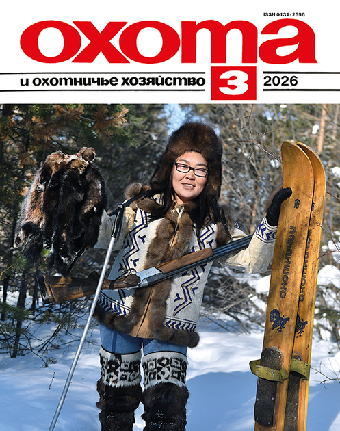 Охота и охотничье хозяйство