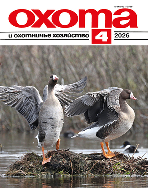 Охота и охотничье хозяйство