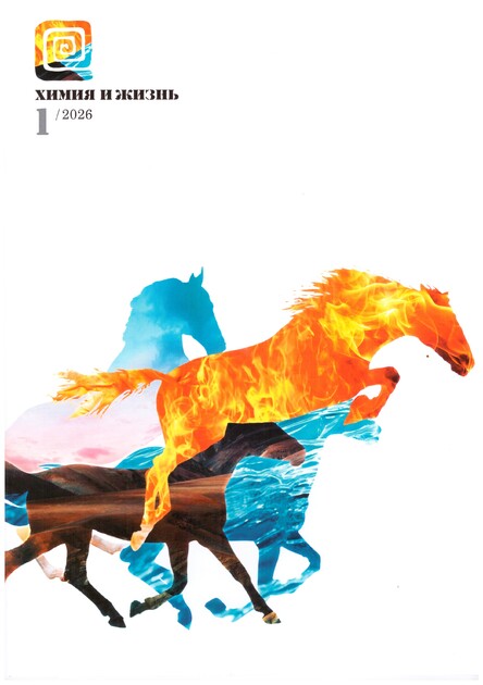 Химия и жизнь - XXI век
