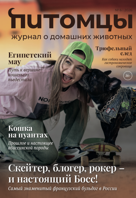 Ветеринария и жизнь. Питомцы