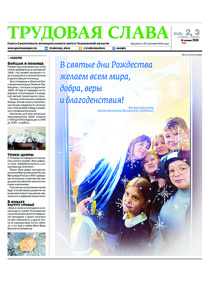 Трудовая слава