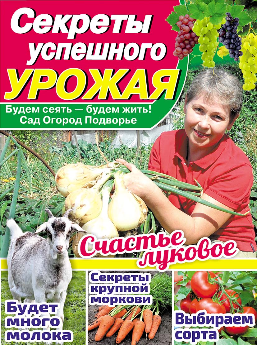 СЕКРЕТЫ УСПЕШНОГО УРОЖАЯ. Будем сеять – будем жить! Сад Огород Подворье -  Подписка на 2024 дешевле розницы