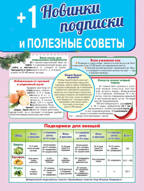 +1 Новинки подписки и полезные советы