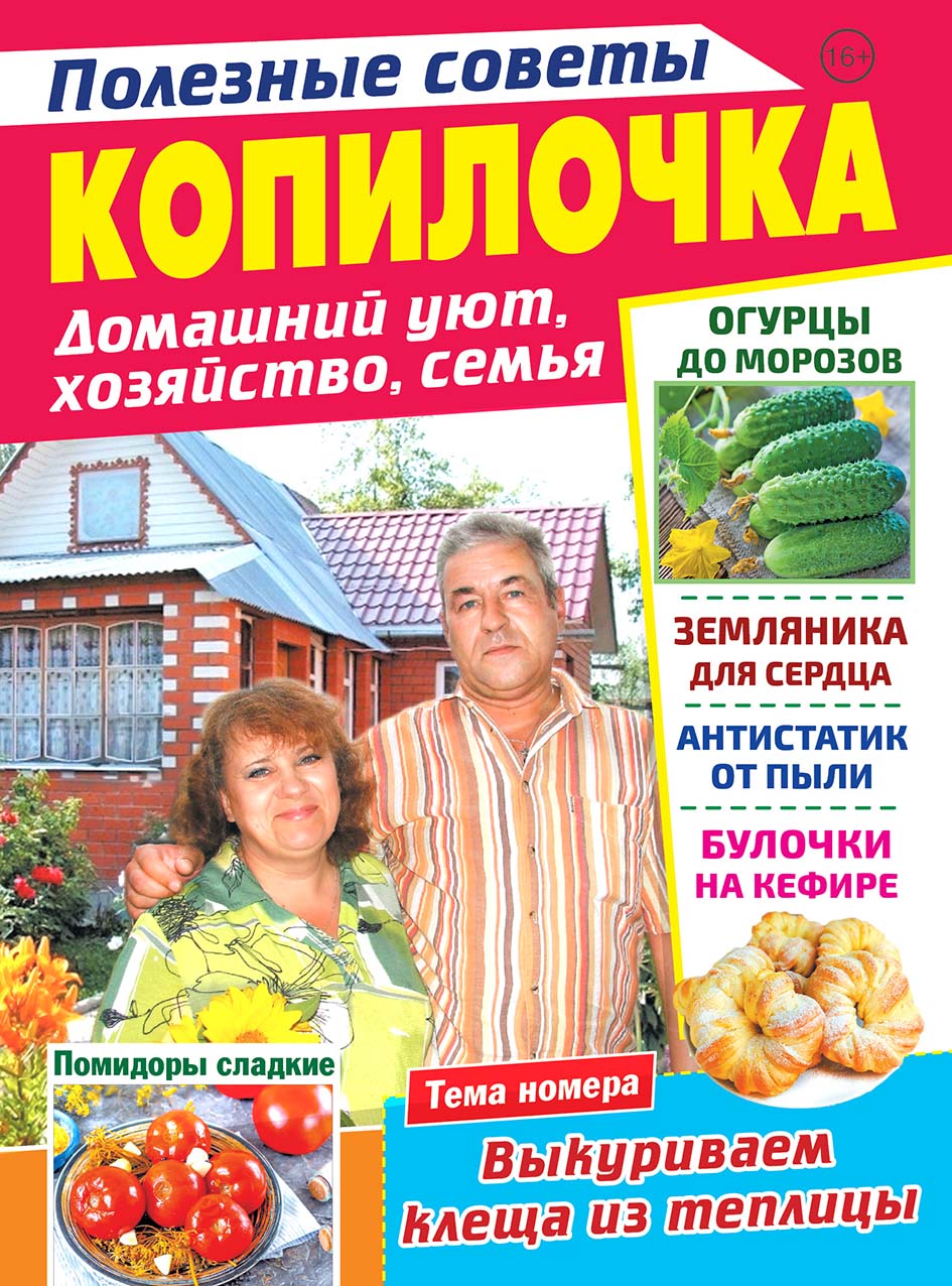 КОПИЛОЧКА. Полезные советы. Домашний уют, хозяйство, семья - Подписка на  2024 дешевле розницы