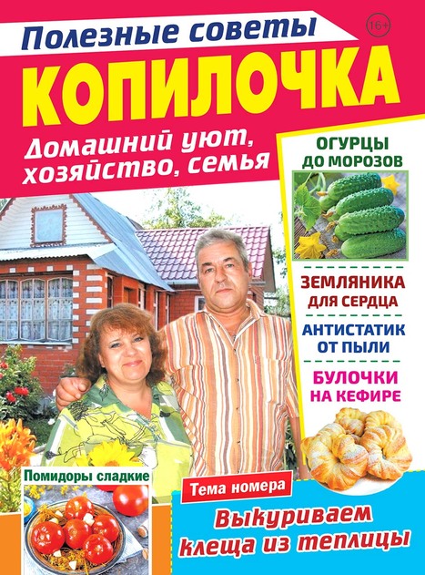 КОПИЛОЧКА. Полезные советы. Домашний уют, хозяйство, семья