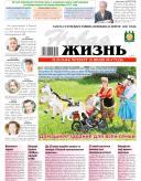 Новая жизнь