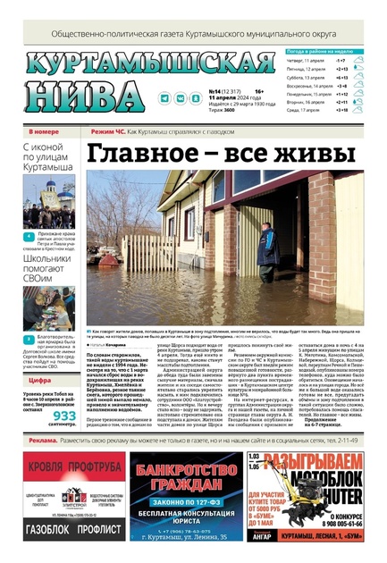Куртамышская нива