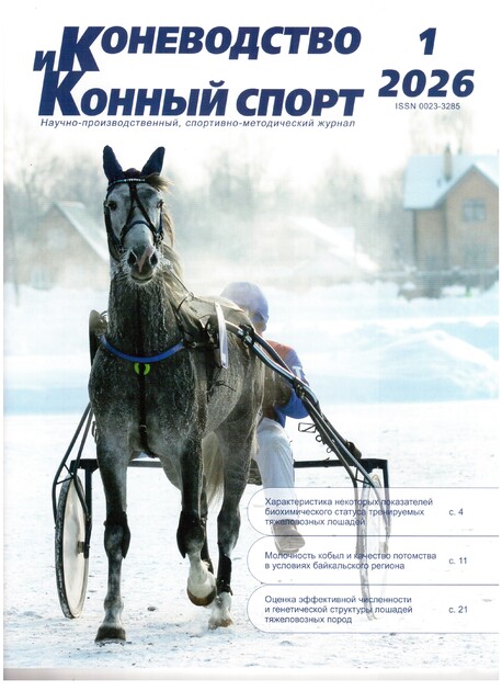 Коневодство и конный спорт