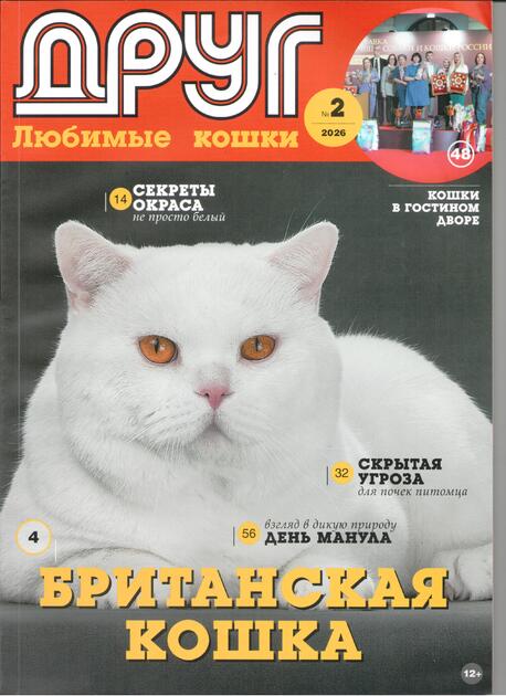 Друг Любимые кошки