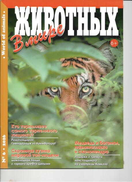 В мире животных World of Animals