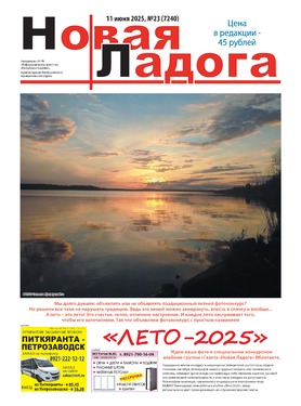 Газета "Новая Ладога"