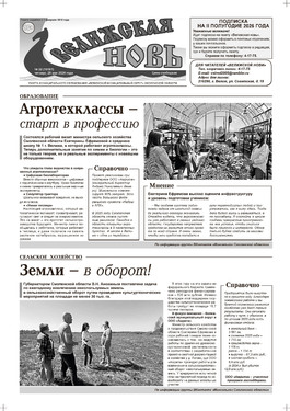 Велижская новь